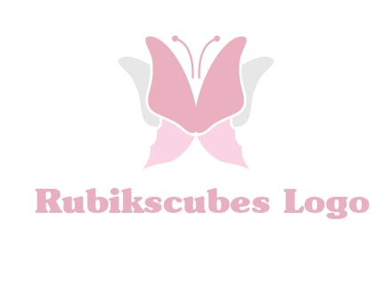abstract butterfly logo