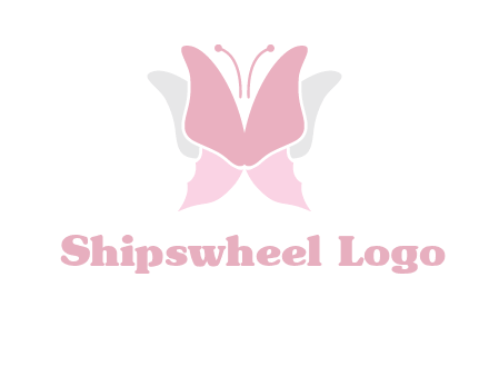 abstract butterfly logo