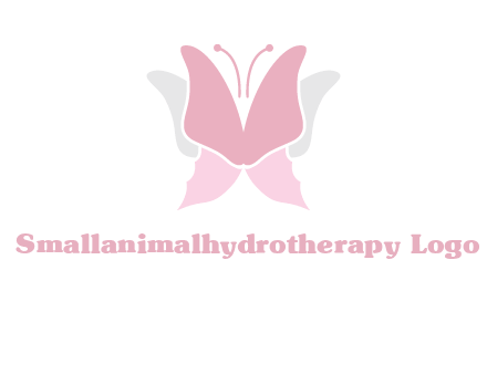 abstract butterfly logo