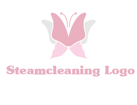 abstract butterfly logo