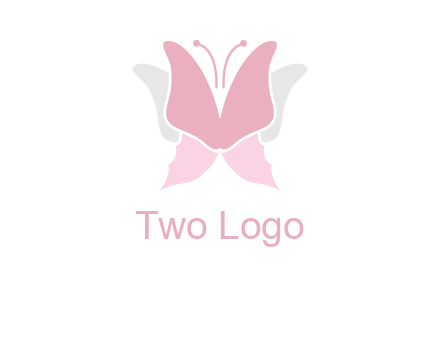 abstract butterfly logo