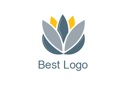 lotus blooming logo