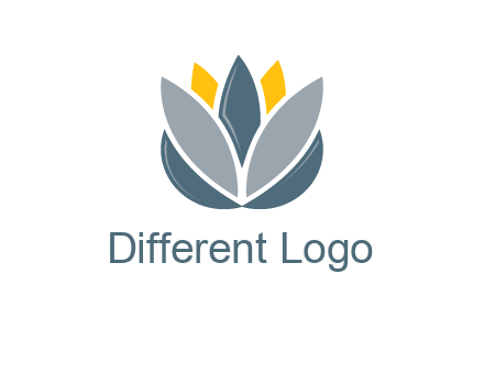 lotus blooming logo