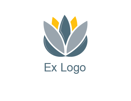 lotus blooming logo