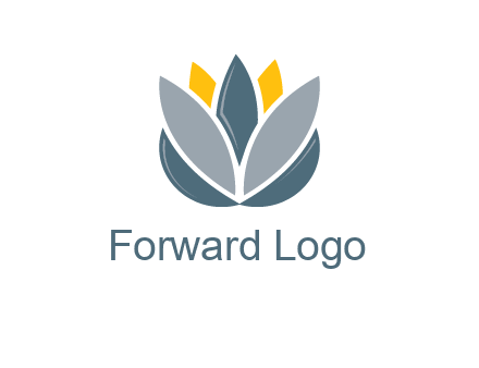 lotus blooming logo
