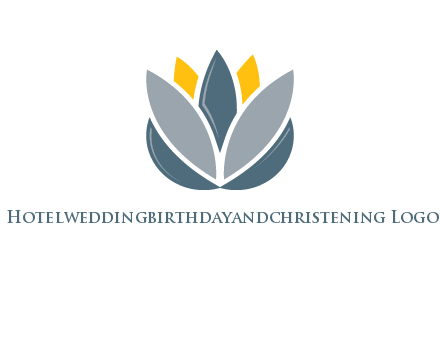 lotus blooming logo