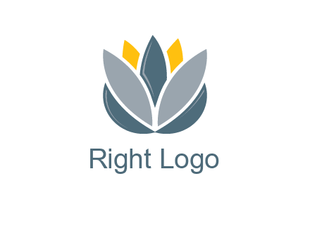 lotus blooming logo