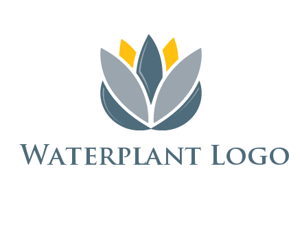 lotus blooming logo