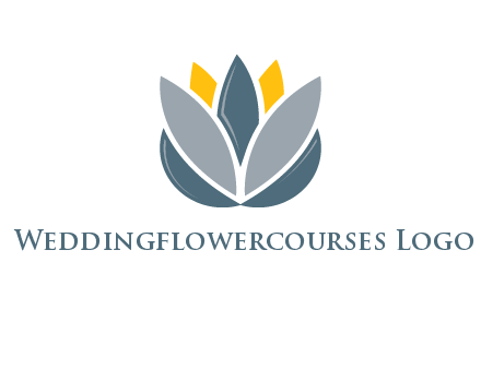 lotus blooming logo
