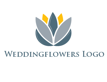 lotus blooming logo