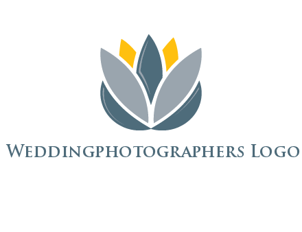 lotus blooming logo