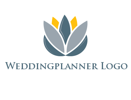 lotus blooming logo