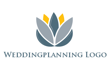 lotus blooming logo