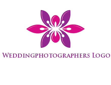 abstract lotus beauty logo