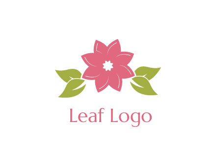 daisy flower and leaves logo