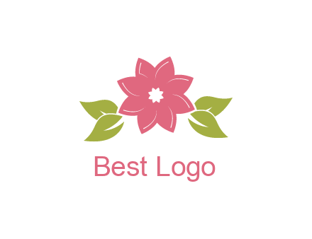 daisy flower and leaves logo