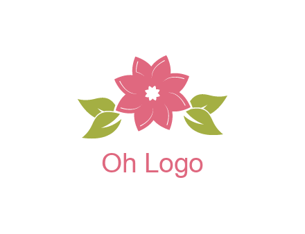 daisy flower and leaves logo