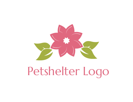 daisy flower and leaves logo