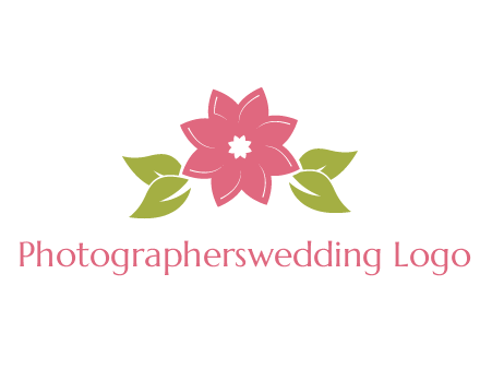 daisy flower and leaves logo