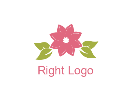 daisy flower and leaves logo