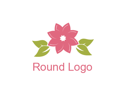 daisy flower and leaves logo