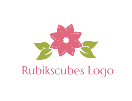 daisy flower and leaves logo