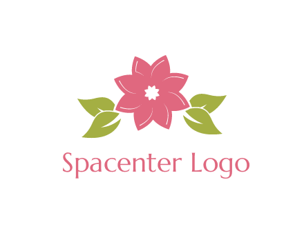 daisy flower and leaves logo
