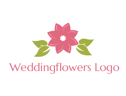 daisy flower and leaves logo