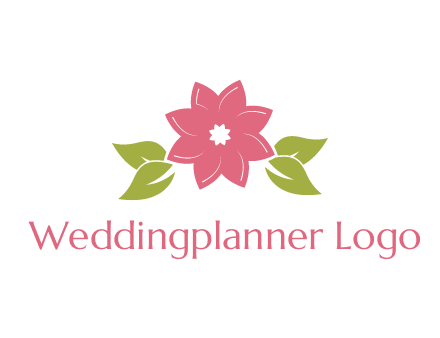 daisy flower and leaves logo