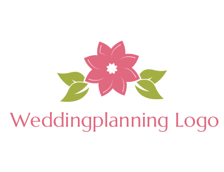 daisy flower and leaves logo