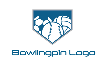 balls inside shield logo