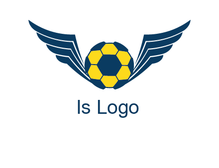 soccer ball with wings logo