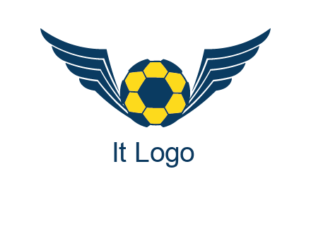 soccer ball with wings logo