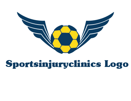 soccer ball with wings logo