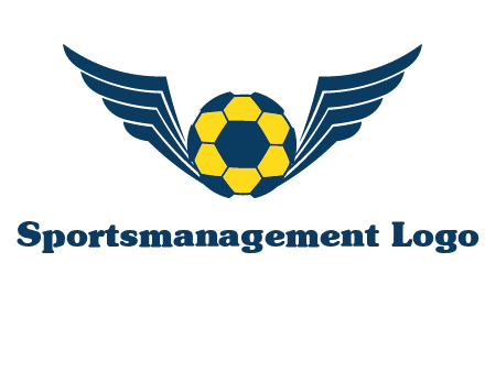soccer ball with wings logo