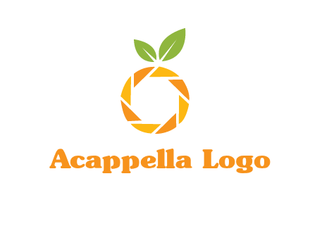 camera lens in an orange fruit shape logo