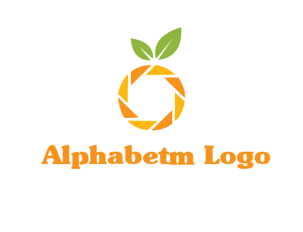 camera lens in an orange fruit shape logo