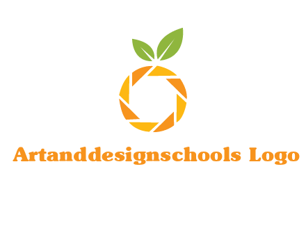 camera lens in an orange fruit shape logo