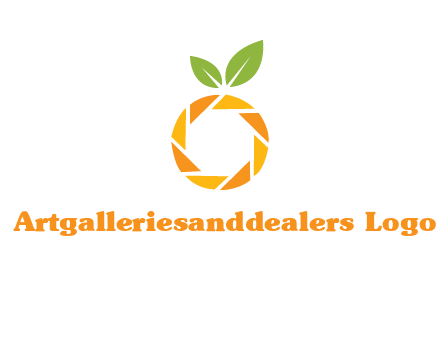 camera lens in an orange fruit shape logo