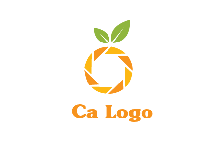 camera lens in an orange fruit shape logo