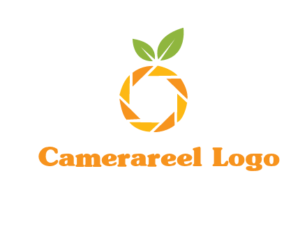 camera lens in an orange fruit shape logo