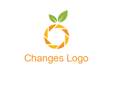 camera lens in an orange fruit shape logo
