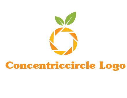 camera lens in an orange fruit shape logo