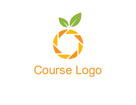 camera lens in an orange fruit shape logo