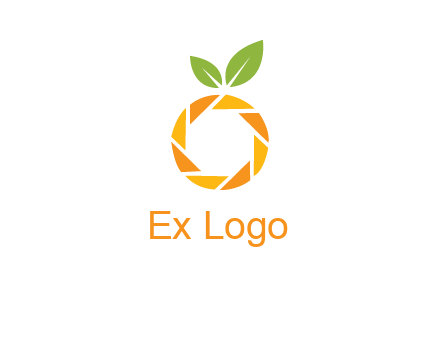 camera lens in an orange fruit shape logo