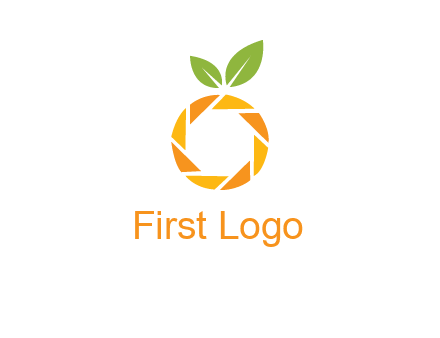 camera lens in an orange fruit shape logo