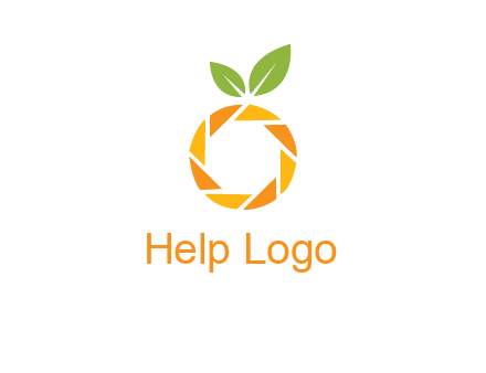 camera lens in an orange fruit shape logo