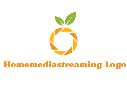 camera lens in an orange fruit shape logo