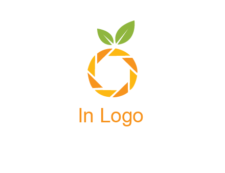 camera lens in an orange fruit shape logo