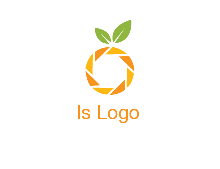 camera lens in an orange fruit shape logo